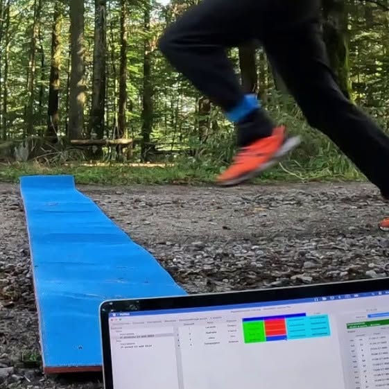 Chronométrage d'une course de canicross avec RacesConnect Timing